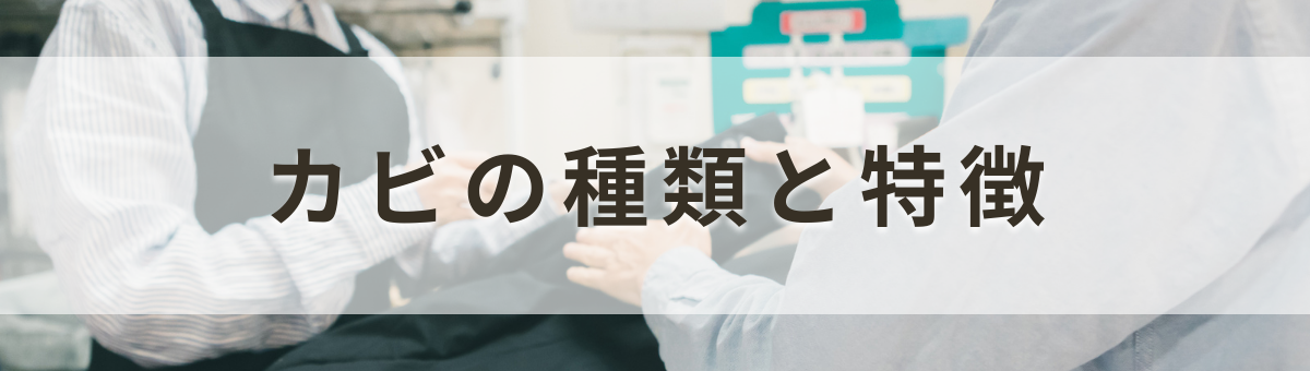 スーツに生えるカビの種類と特徴